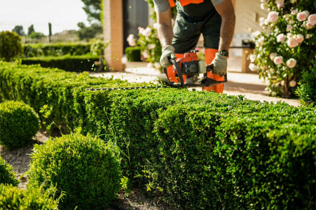 Landscaping & Construction Experts