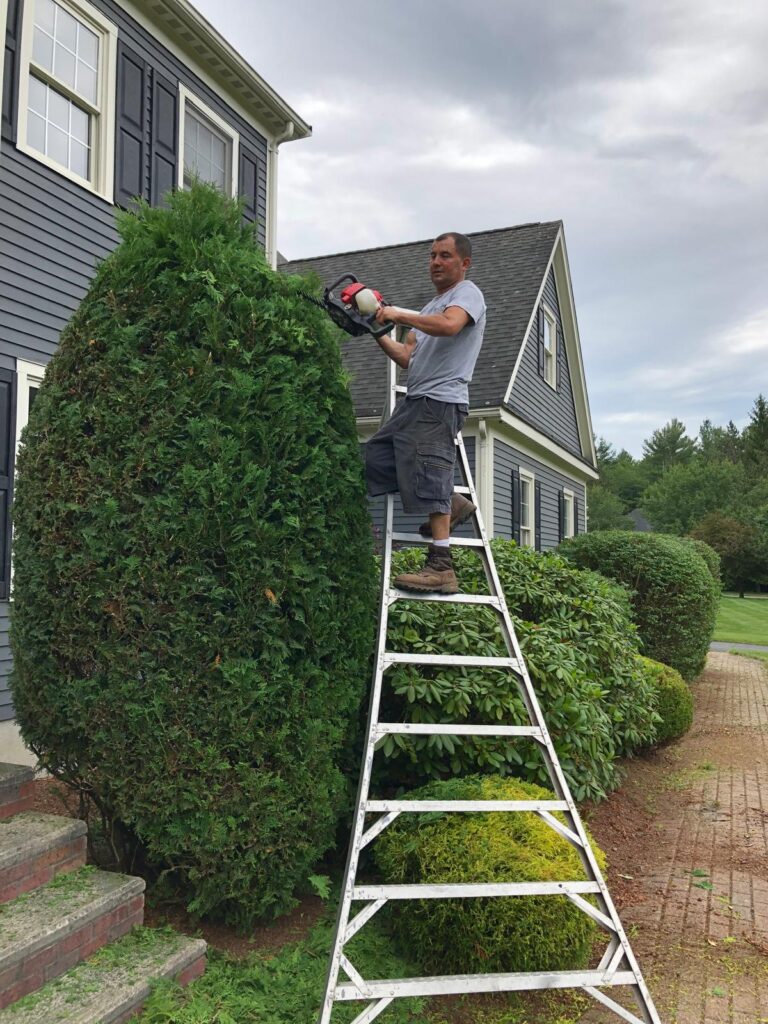 about, Landscaping & Construction Experts