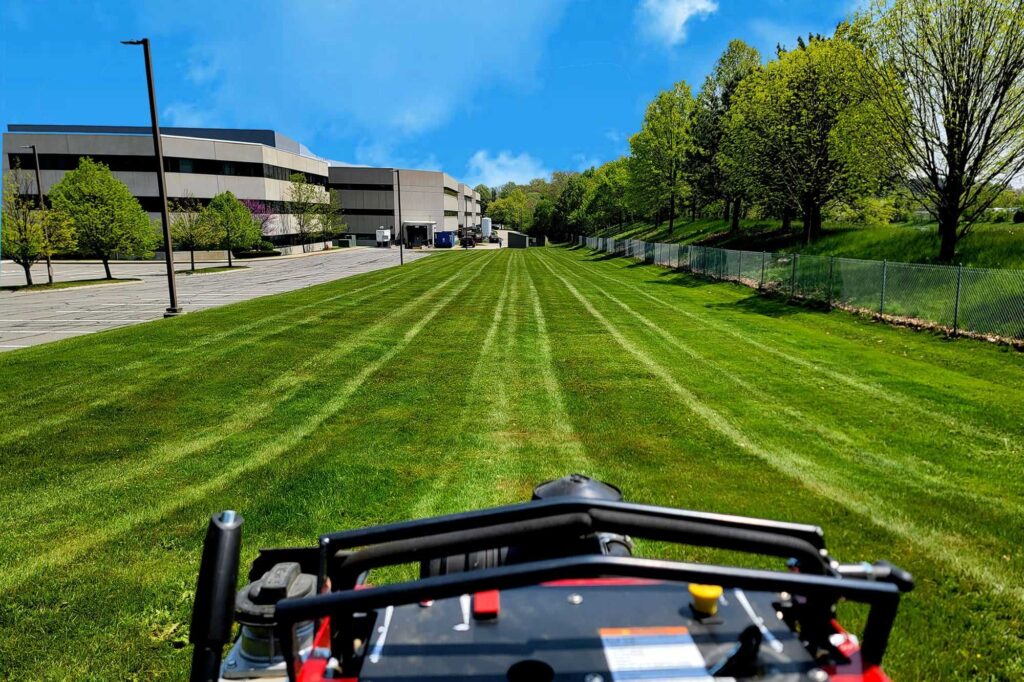 Landscaping, about, Landscaping & Construction Experts